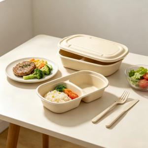 700ml 850ml 1000ml 2 Compartments Bagasse Bento Box with Lid