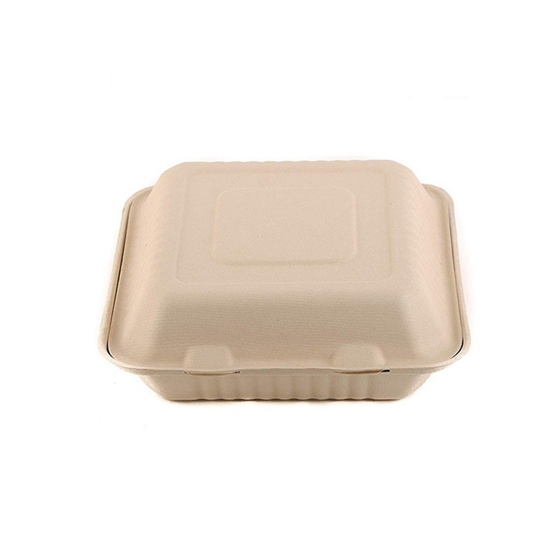 9 Inch Biodegradable Bagasse Take Away Containers