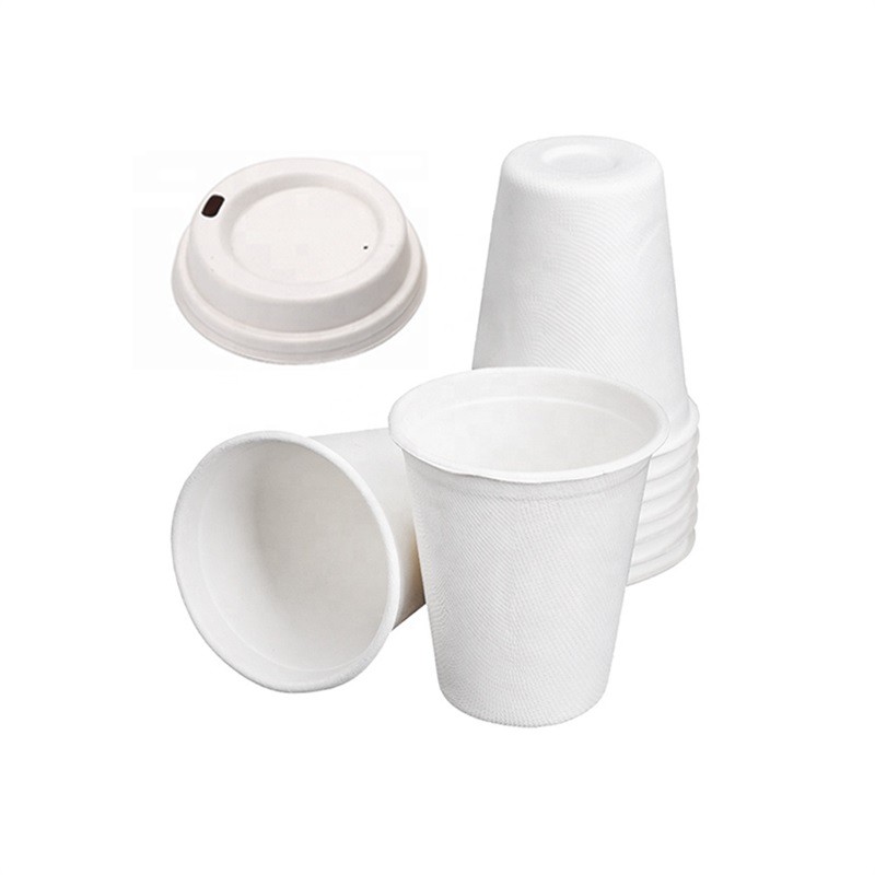 Compostable Sugarcane Pulp Hot Drink Cups