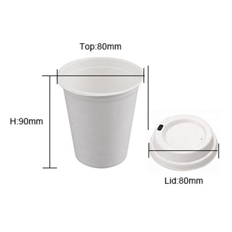 Compostable Sugarcane Pulp Hot Drink Cups