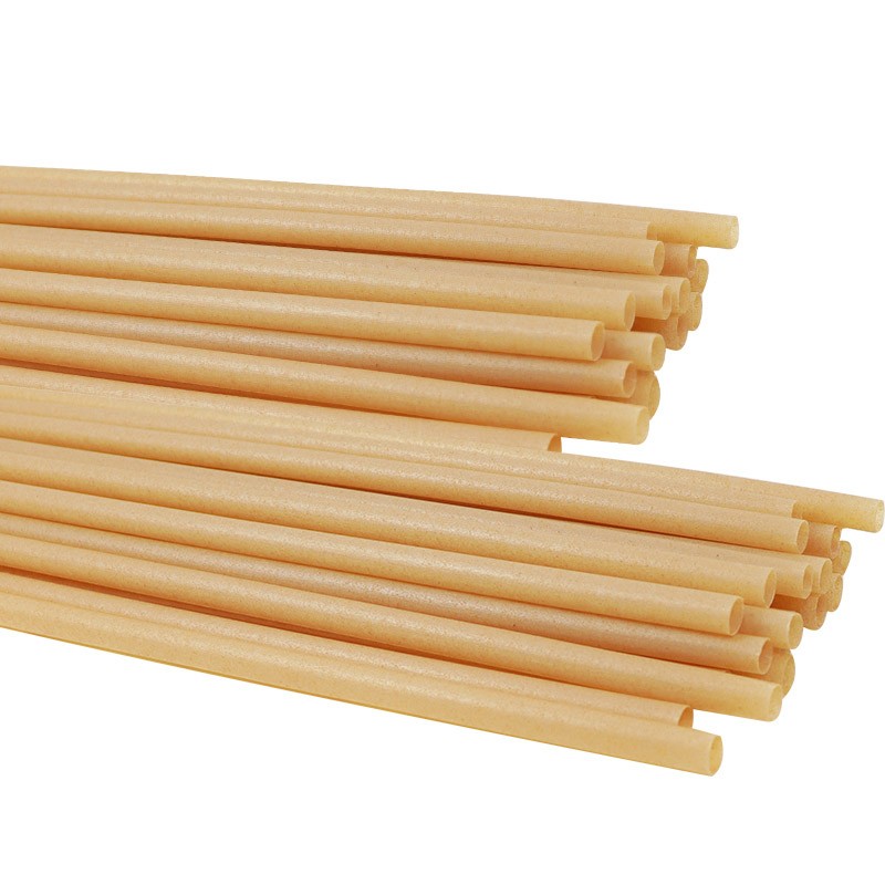 Plant-based Biodegradable Sugarcane Bagasse Fiber Straw
